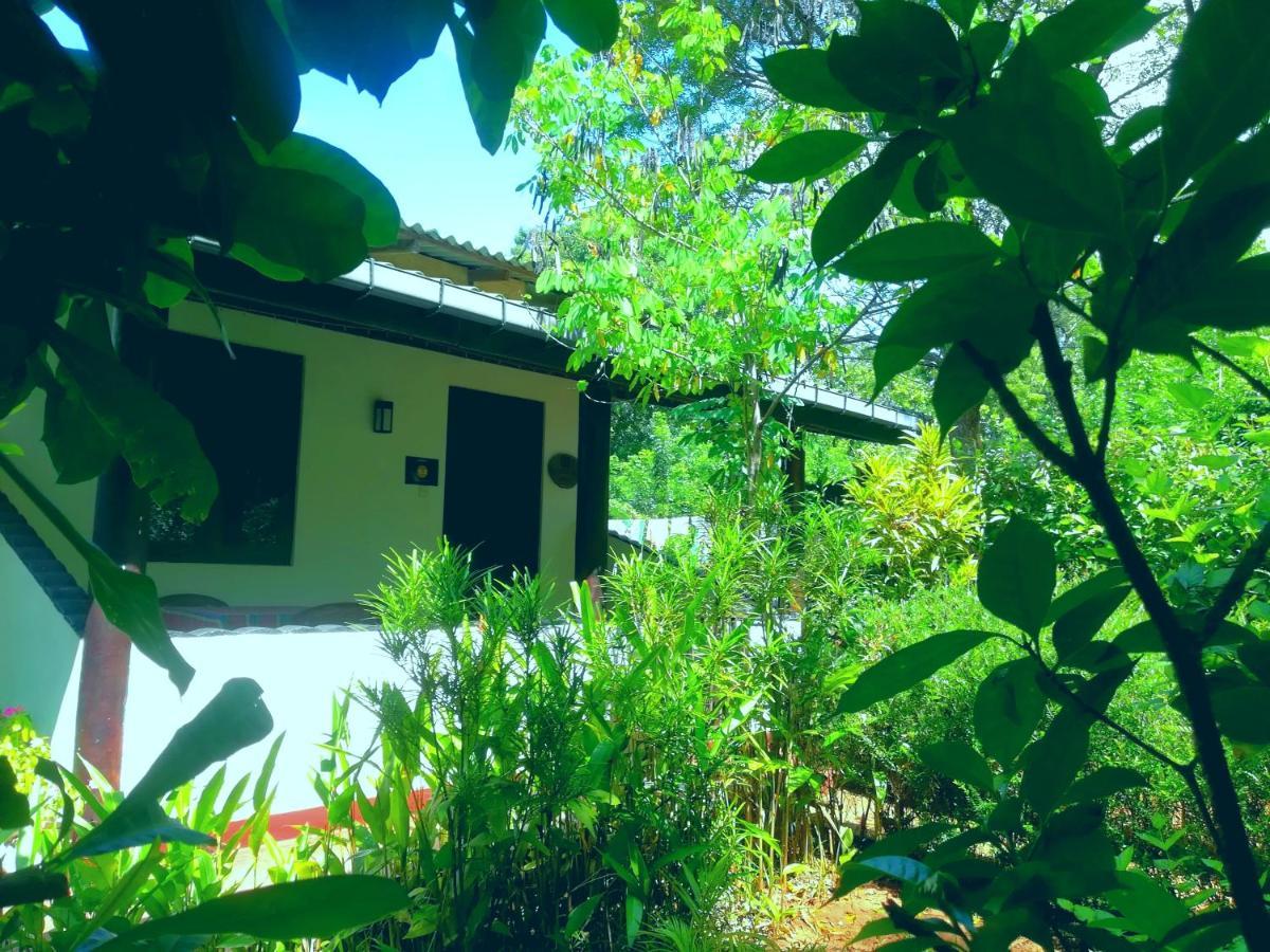 Lakmal Homestay ,10 Minutes To Sigiriya Rock Exteriör bild